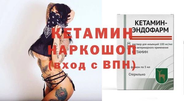 крисы Ростов