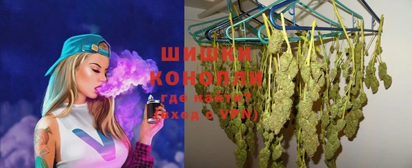 крисы Ростов