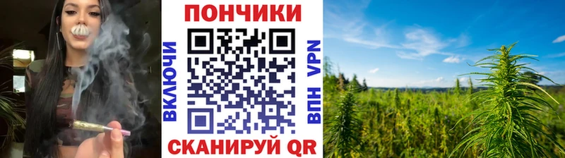 Канабис план  Курганинск 